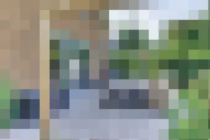 Paaslohof 6 Hierden thumbnail 50