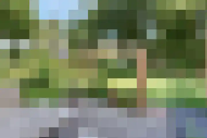 Paaslohof 6 Hierden thumbnail 52