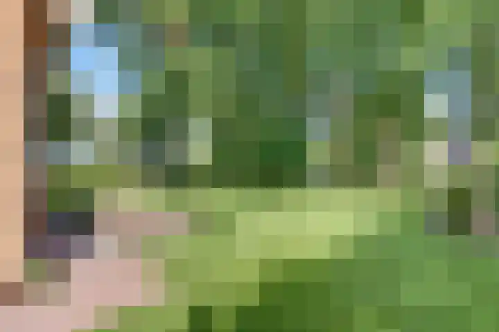 Paaslohof 6 Hierden thumbnail 56