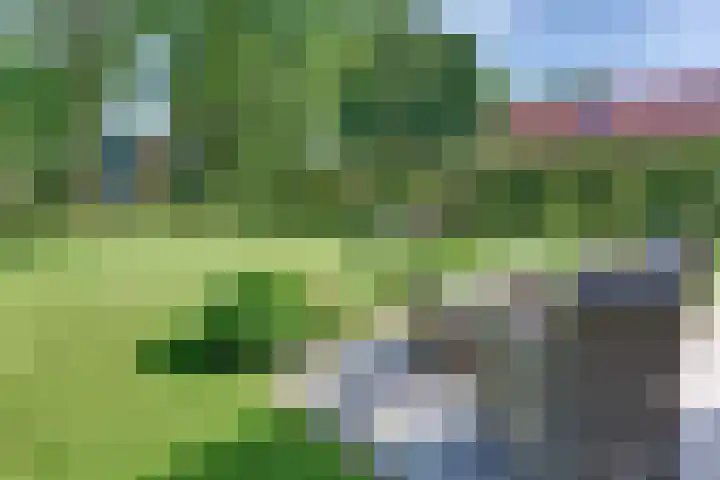 Paaslohof 6 Hierden thumbnail 57