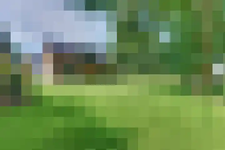 Paaslohof 6 Hierden thumbnail 58