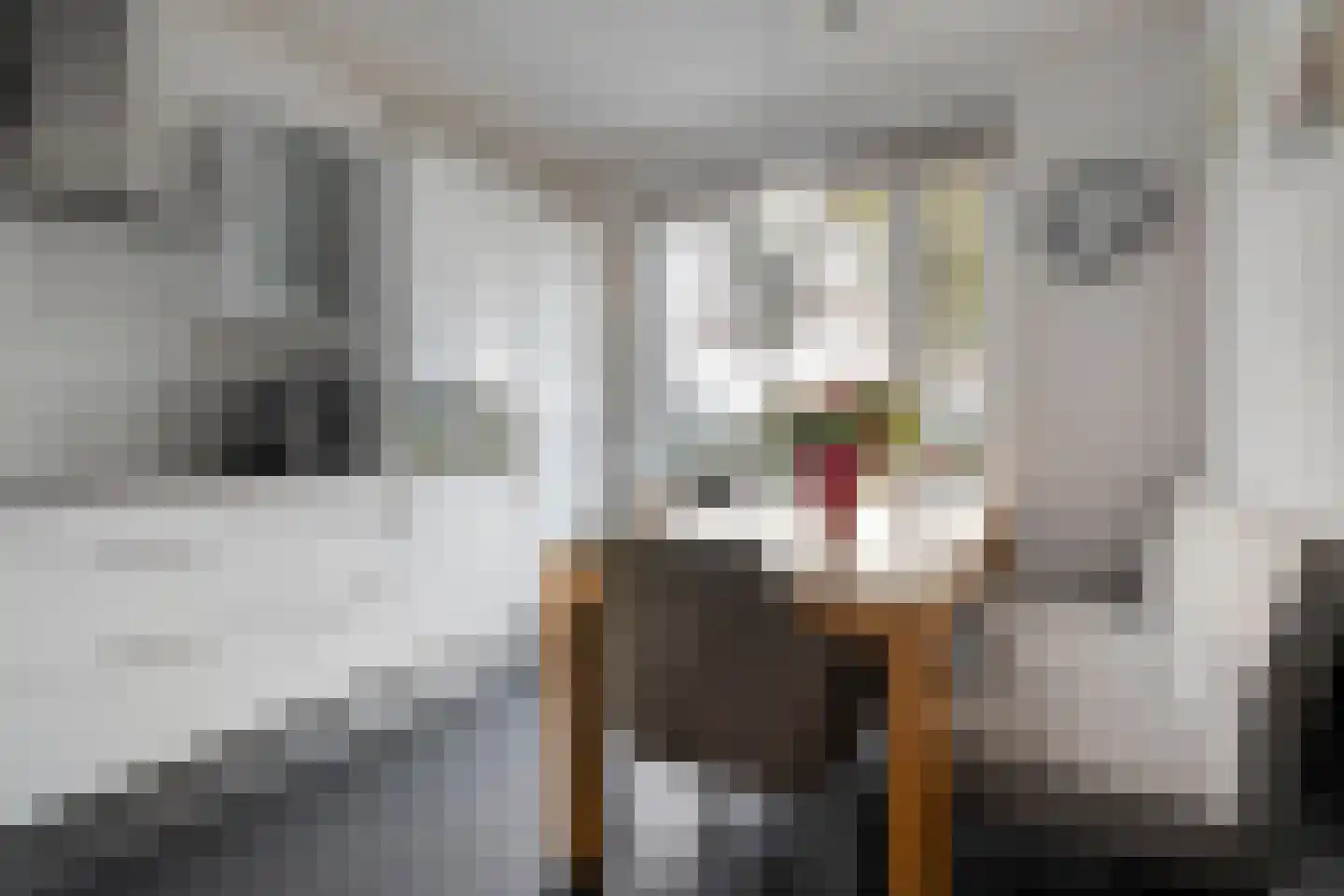 Paasloostraat 100 Zwolle thumbnail 10