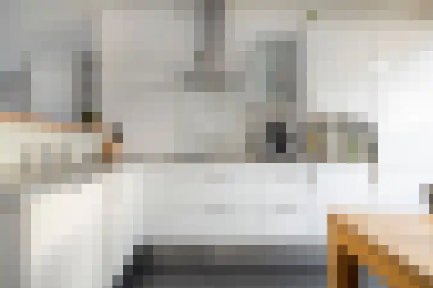 Paasloostraat 100 Zwolle thumbnail 11