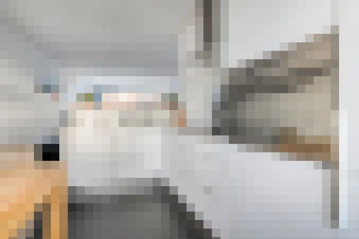 Paasloostraat 100 Zwolle thumbnail 13