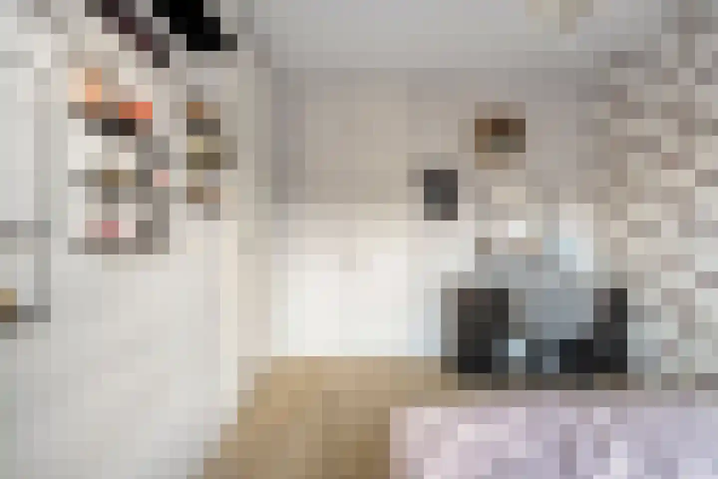 Paasloostraat 100 Zwolle thumbnail 17