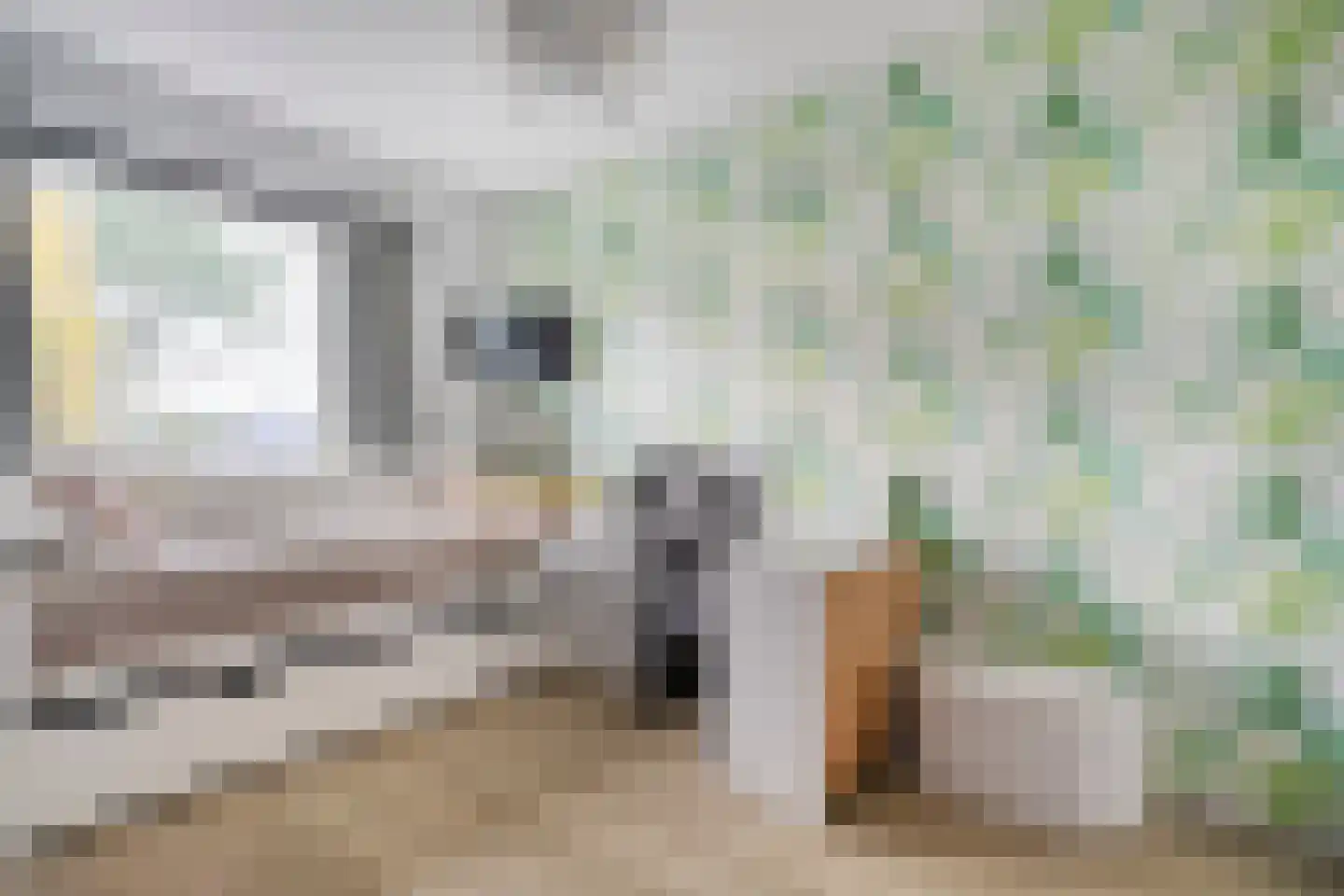 Paasloostraat 100 Zwolle thumbnail 20