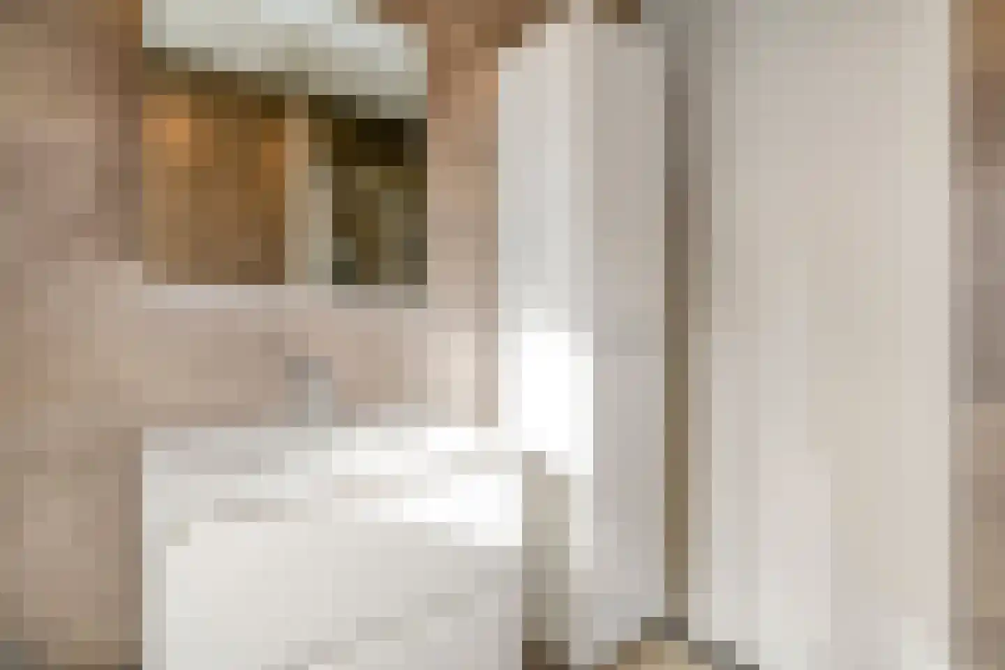 Paasloostraat 100 Zwolle thumbnail 23