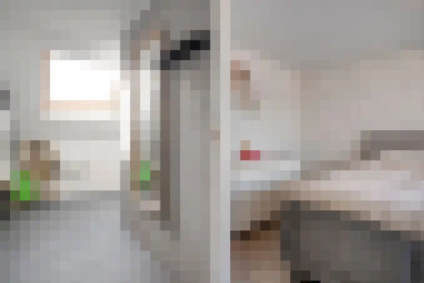 Paasloostraat 100 Zwolle thumbnail 25