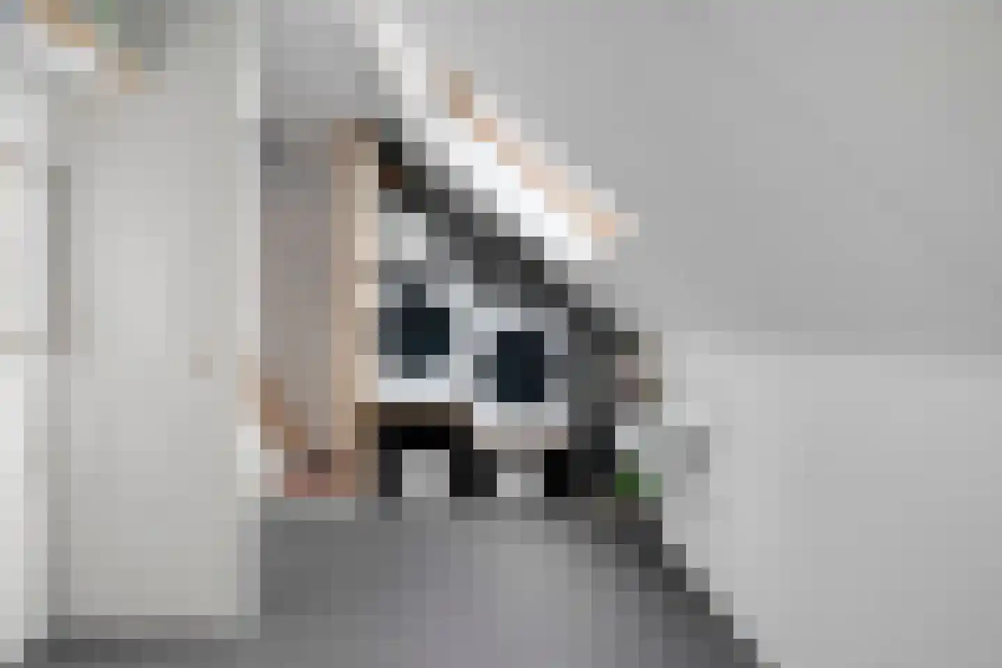 Paasloostraat 100 Zwolle thumbnail 29