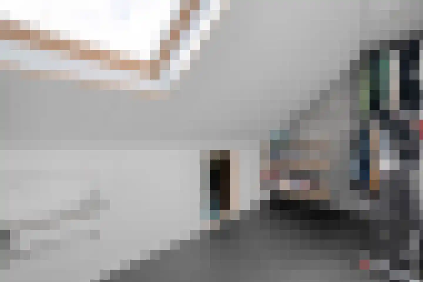 Paasloostraat 100 Zwolle thumbnail 30