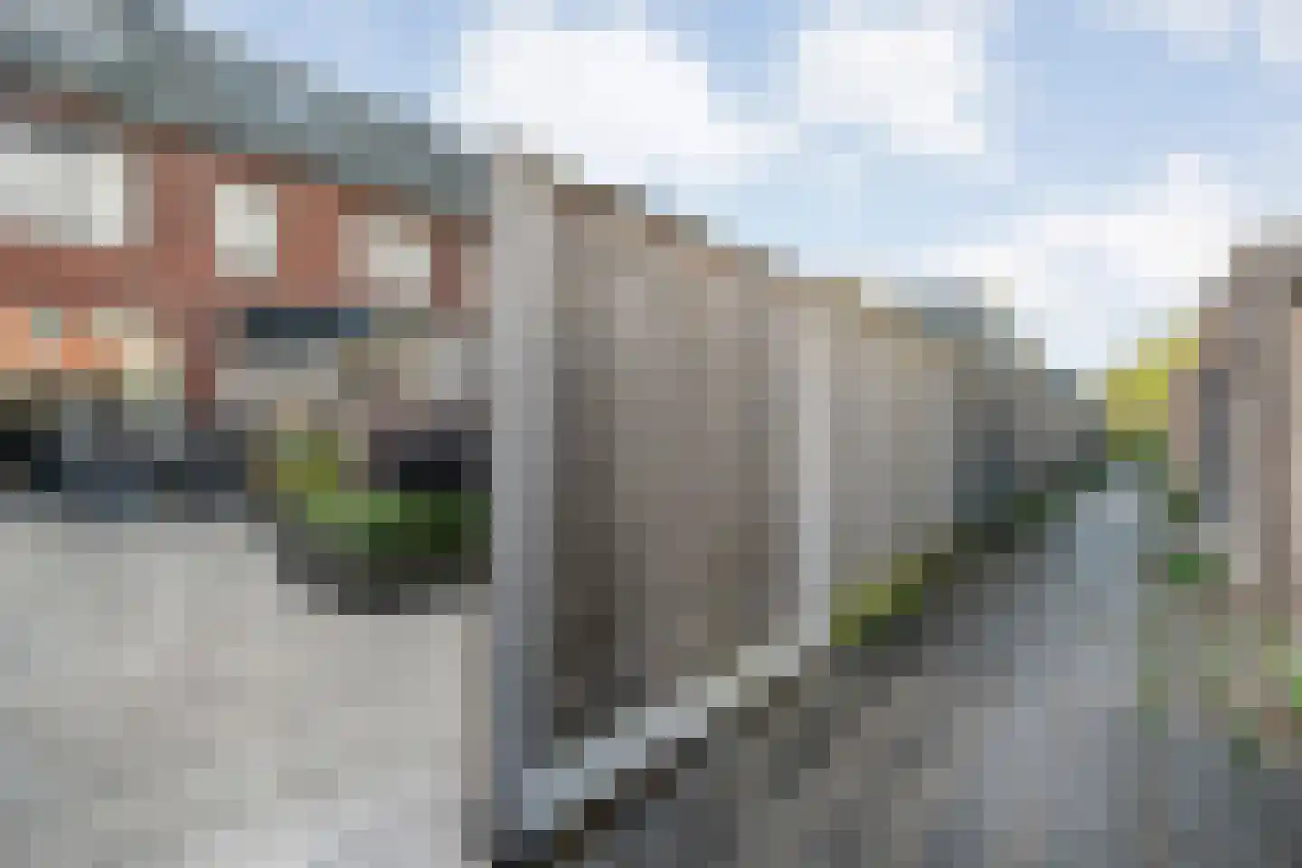 Paasloostraat 100 Zwolle thumbnail 37