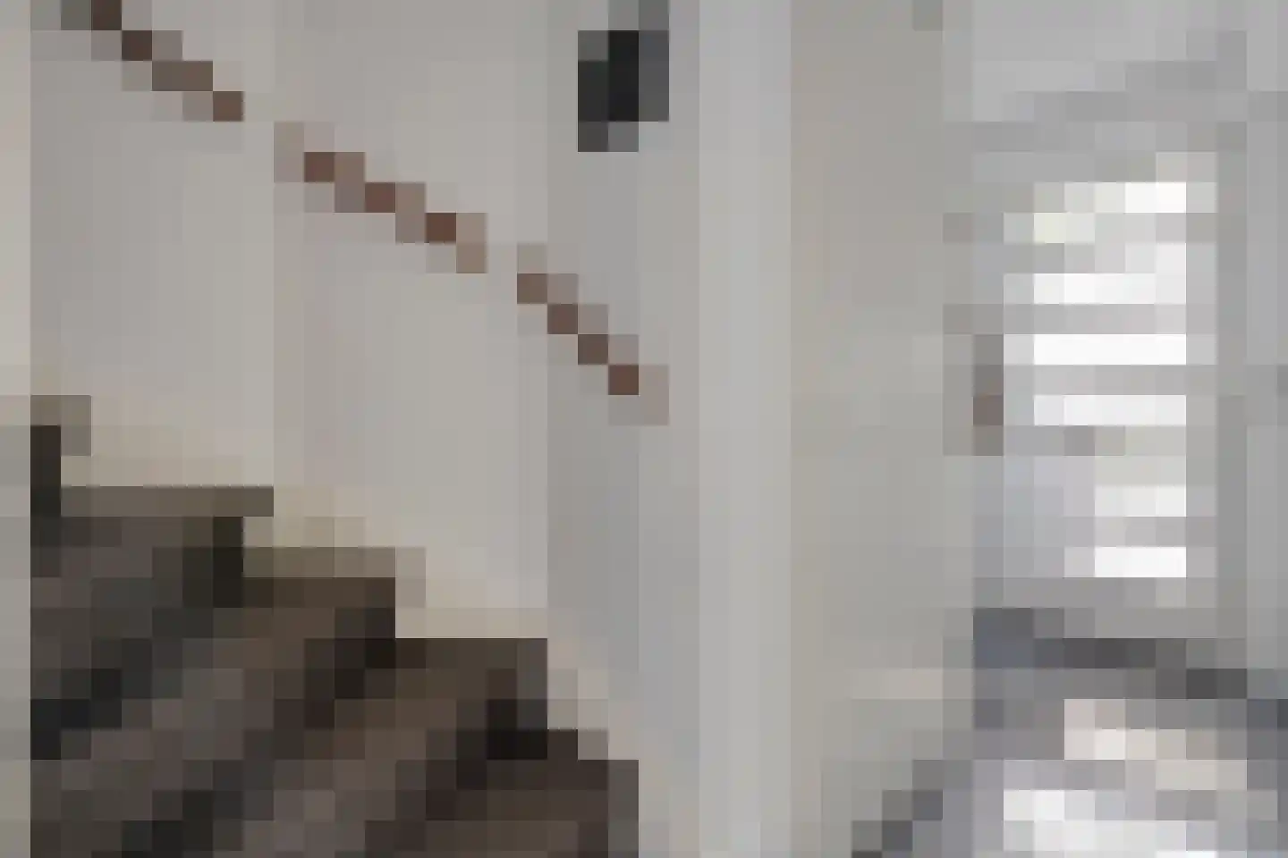 Paasloostraat 100 Zwolle thumbnail 4