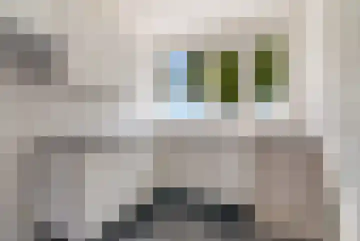 Paasloostraat 30 Zwolle thumbnail 9