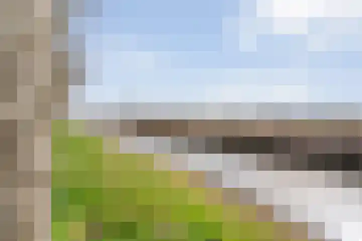 Paasloostraat 50 Zwolle thumbnail 39