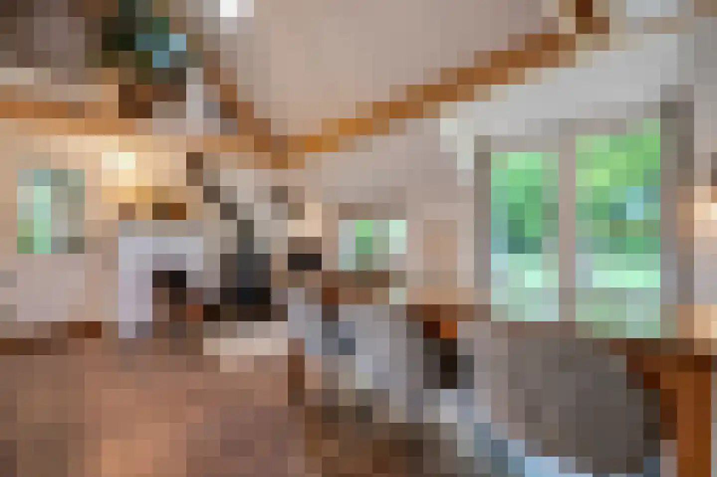 Paasloregel 114 Basse thumbnail 15