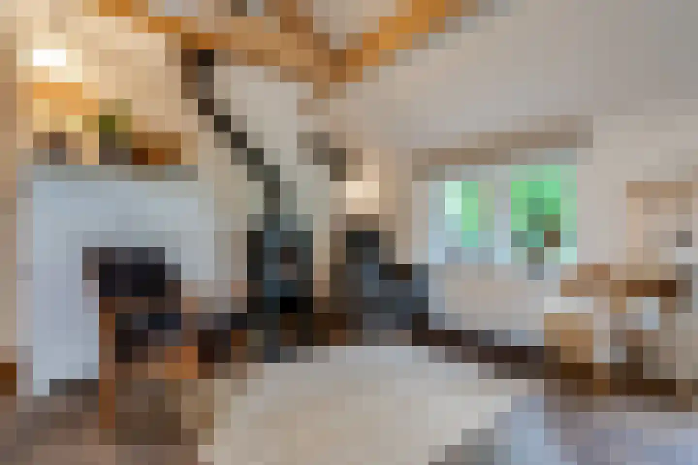 Paasloregel 114 Basse thumbnail 16