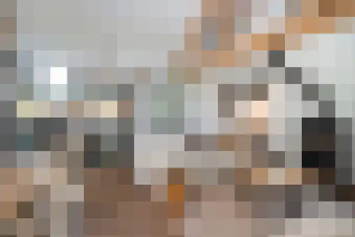 Paasloregel 114 Basse thumbnail 18