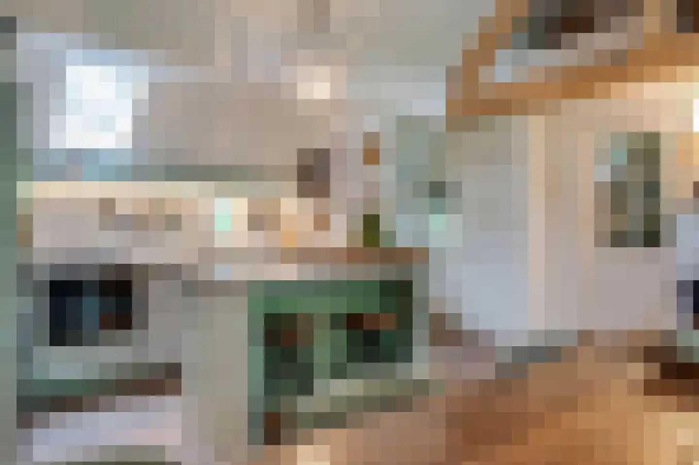 Paasloregel 114 Basse thumbnail 20