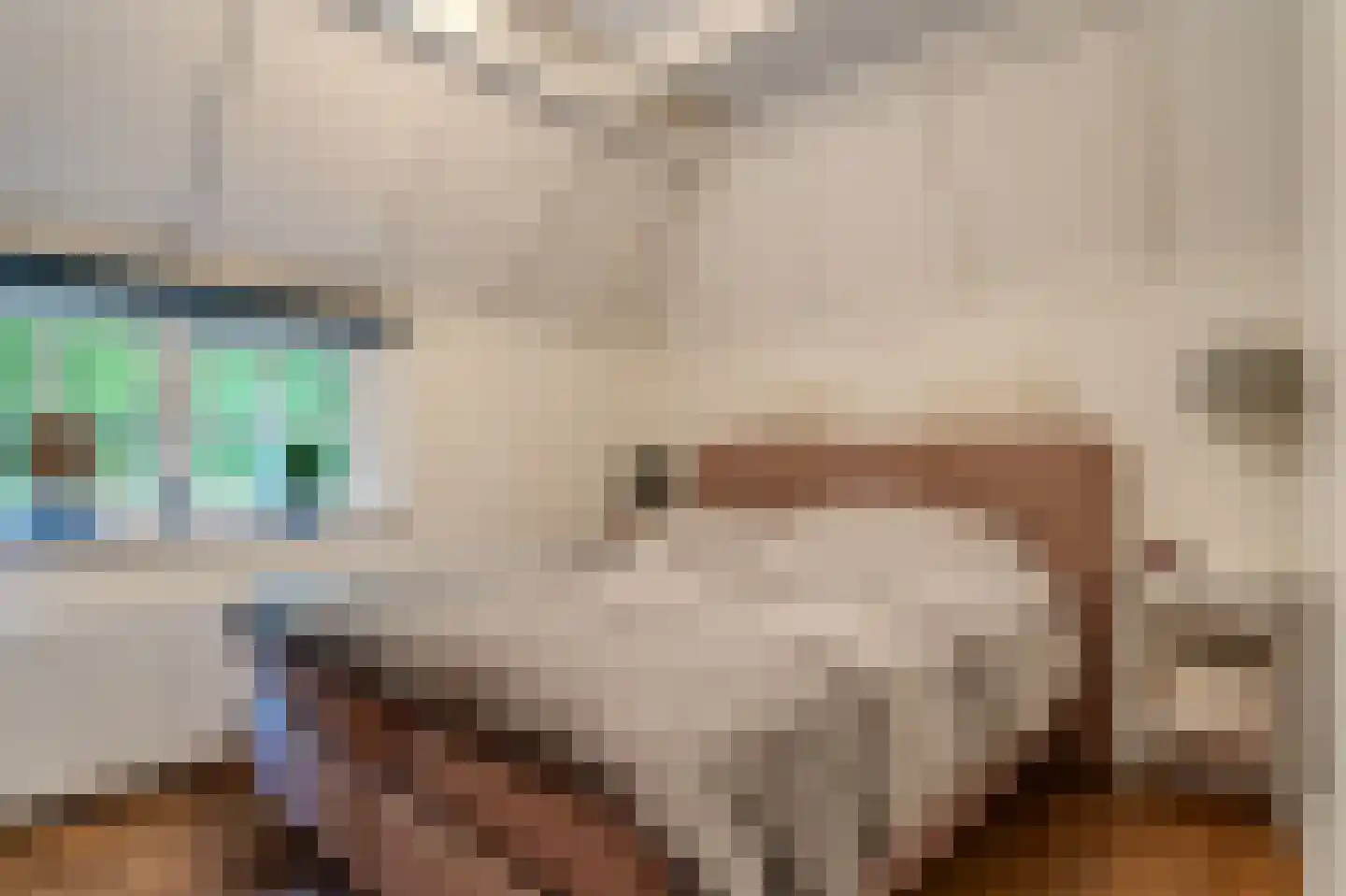 Paasloregel 114 Basse thumbnail 25