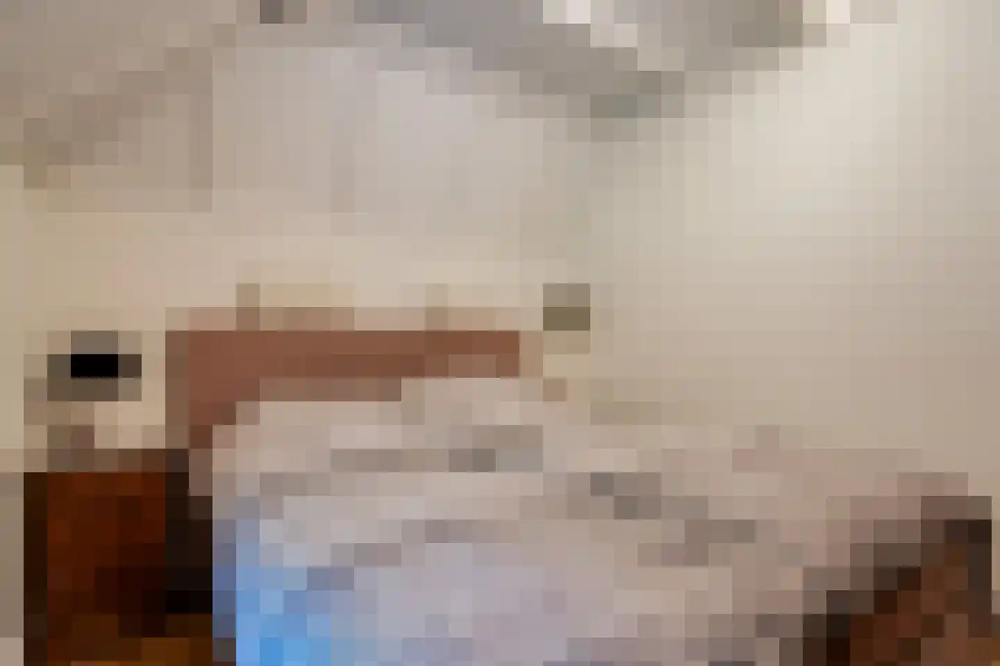 Paasloregel 114 Basse thumbnail 27
