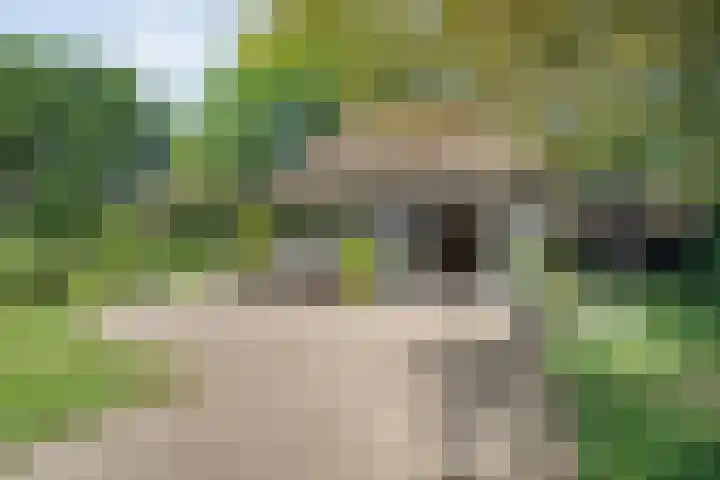 Paasloregel 114 Basse thumbnail 31
