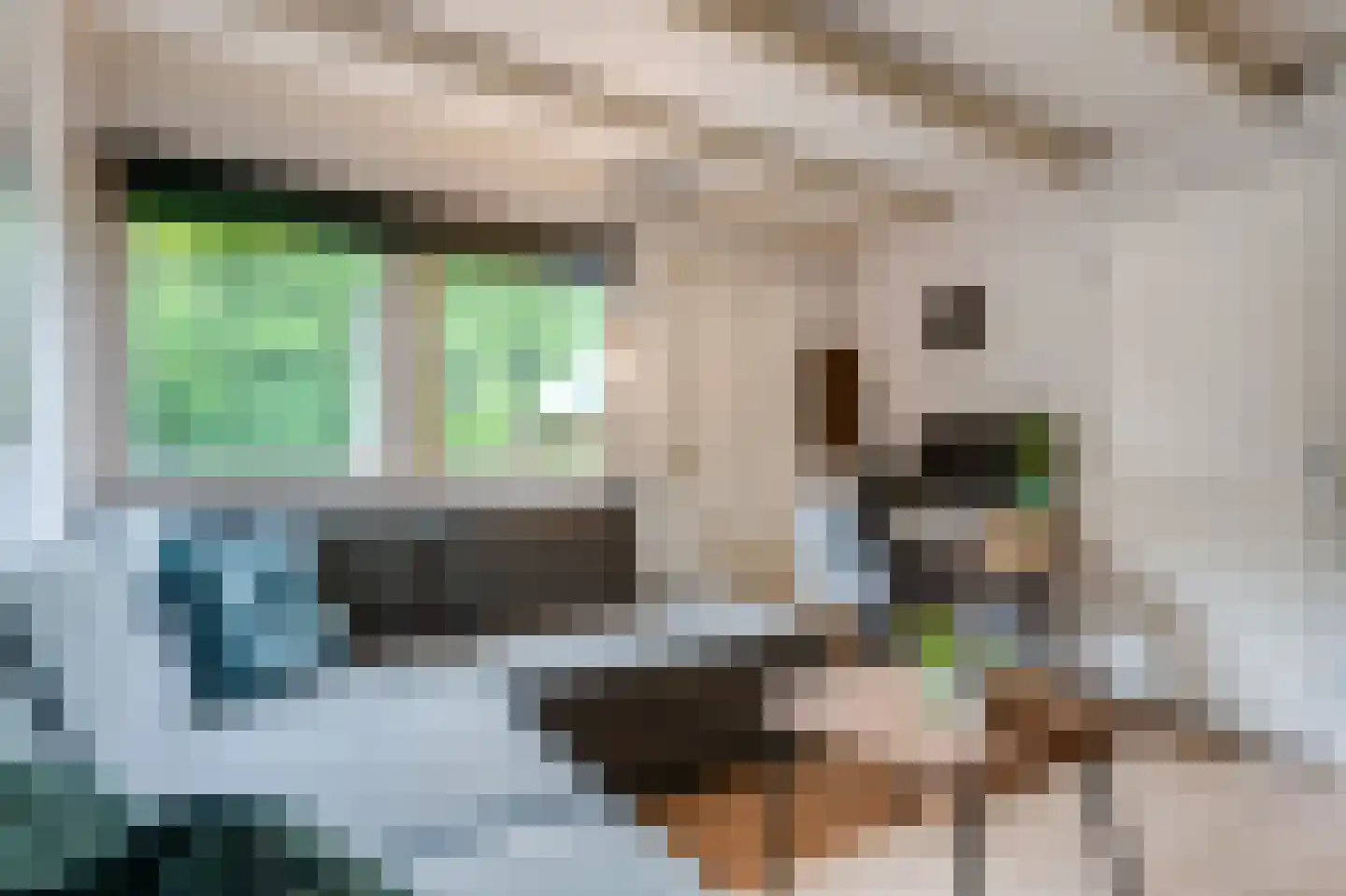 Paasloregel 114 Basse thumbnail 35