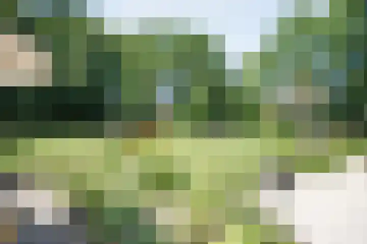 Paasloregel 114 Basse thumbnail 38
