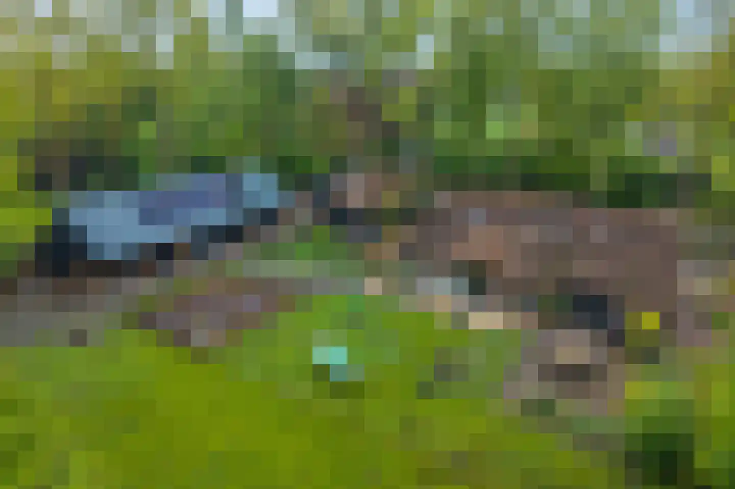 Paasloregel 114 Basse thumbnail 4
