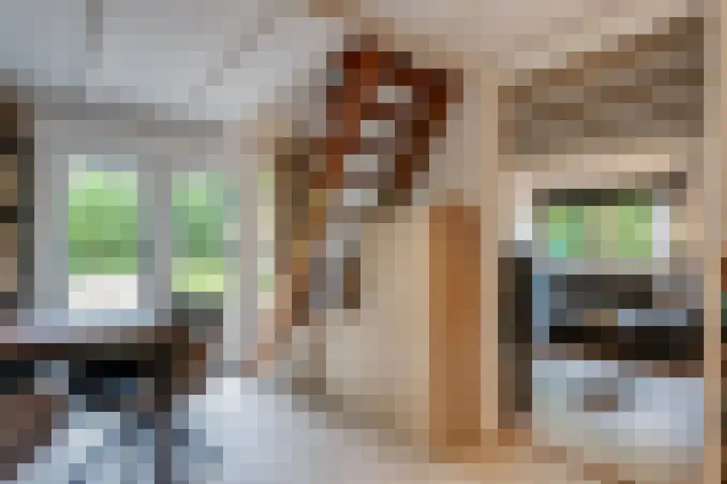Paasloregel 114 Basse thumbnail 41