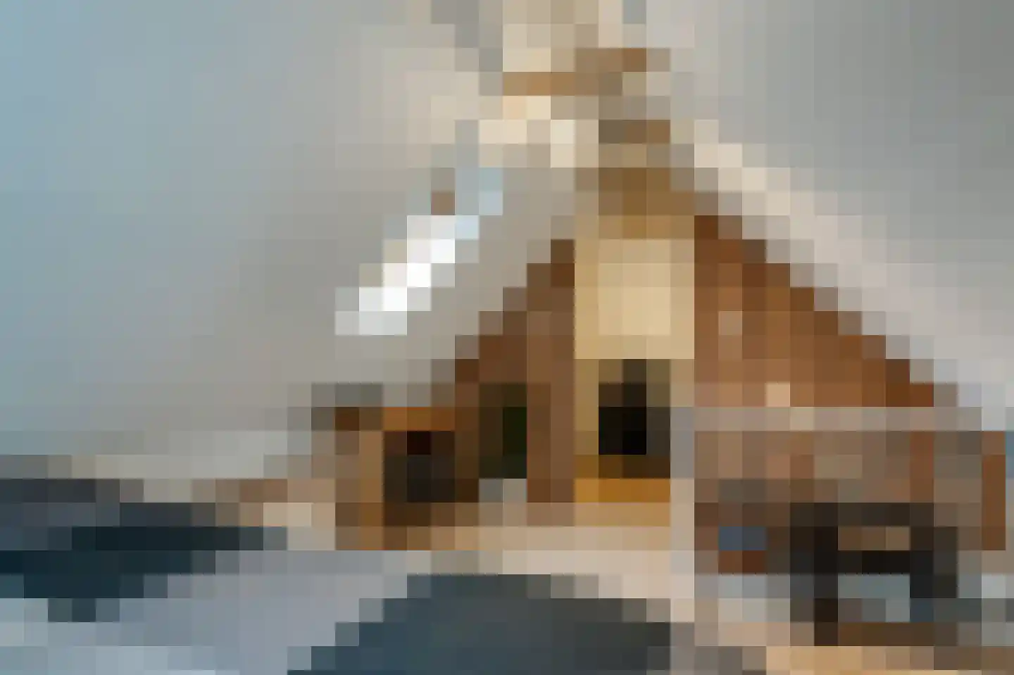 Paasloregel 114 Basse thumbnail 43