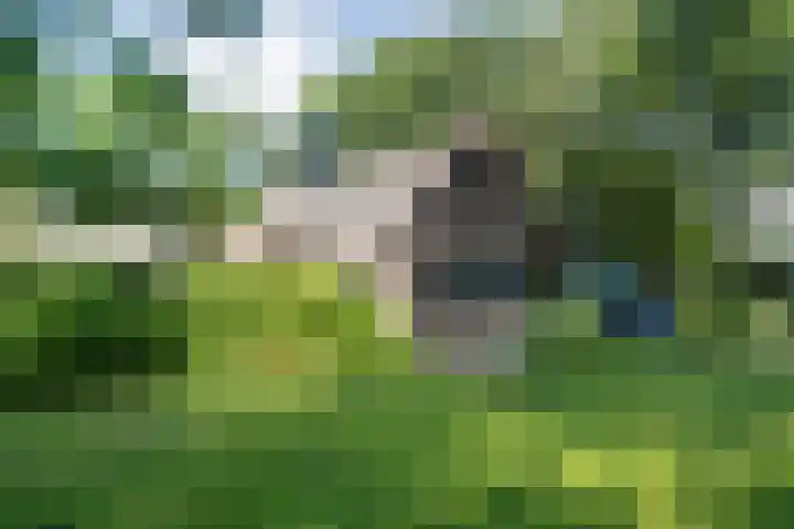 Paasloregel 114 Basse thumbnail 45