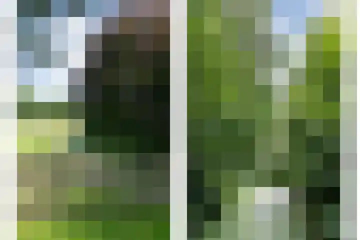Paasloregel 114 Basse thumbnail 48
