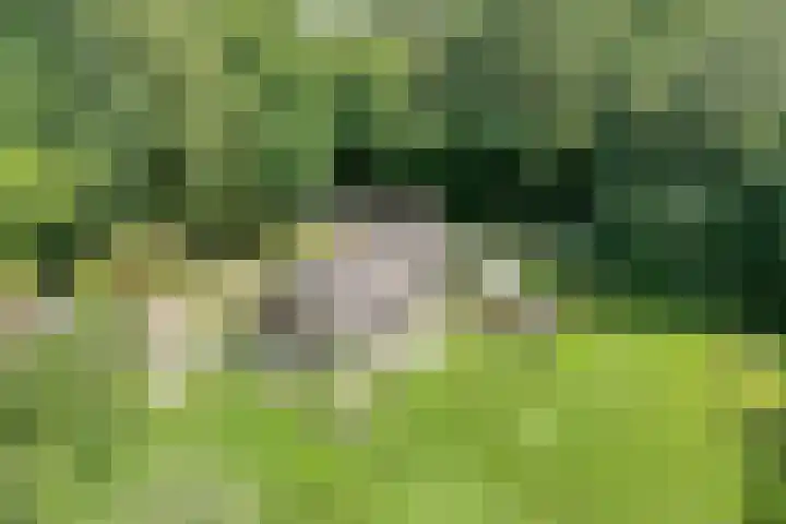 Paasloregel 114 Basse thumbnail 49