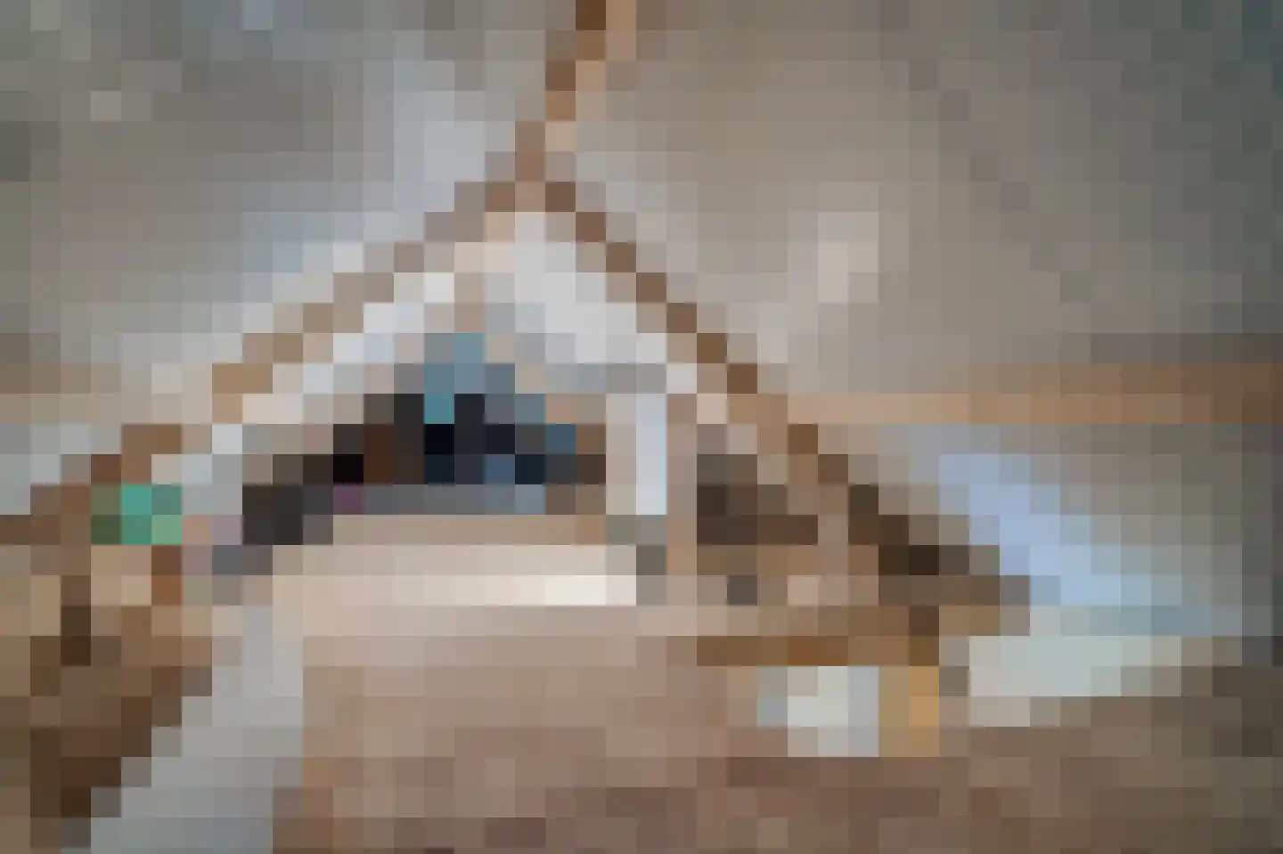 Paasloregel 114 Basse thumbnail 56