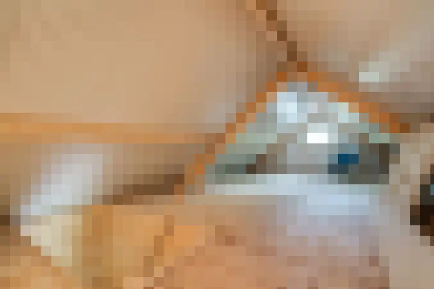Paasloregel 114 Basse thumbnail 57