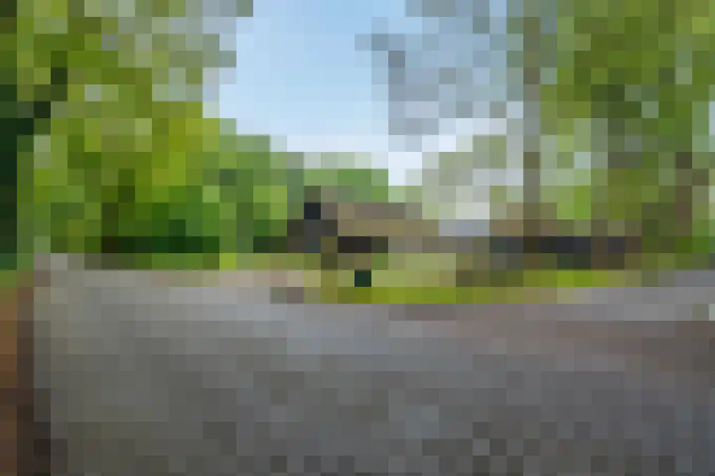 Paasloregel 114 Basse thumbnail 58