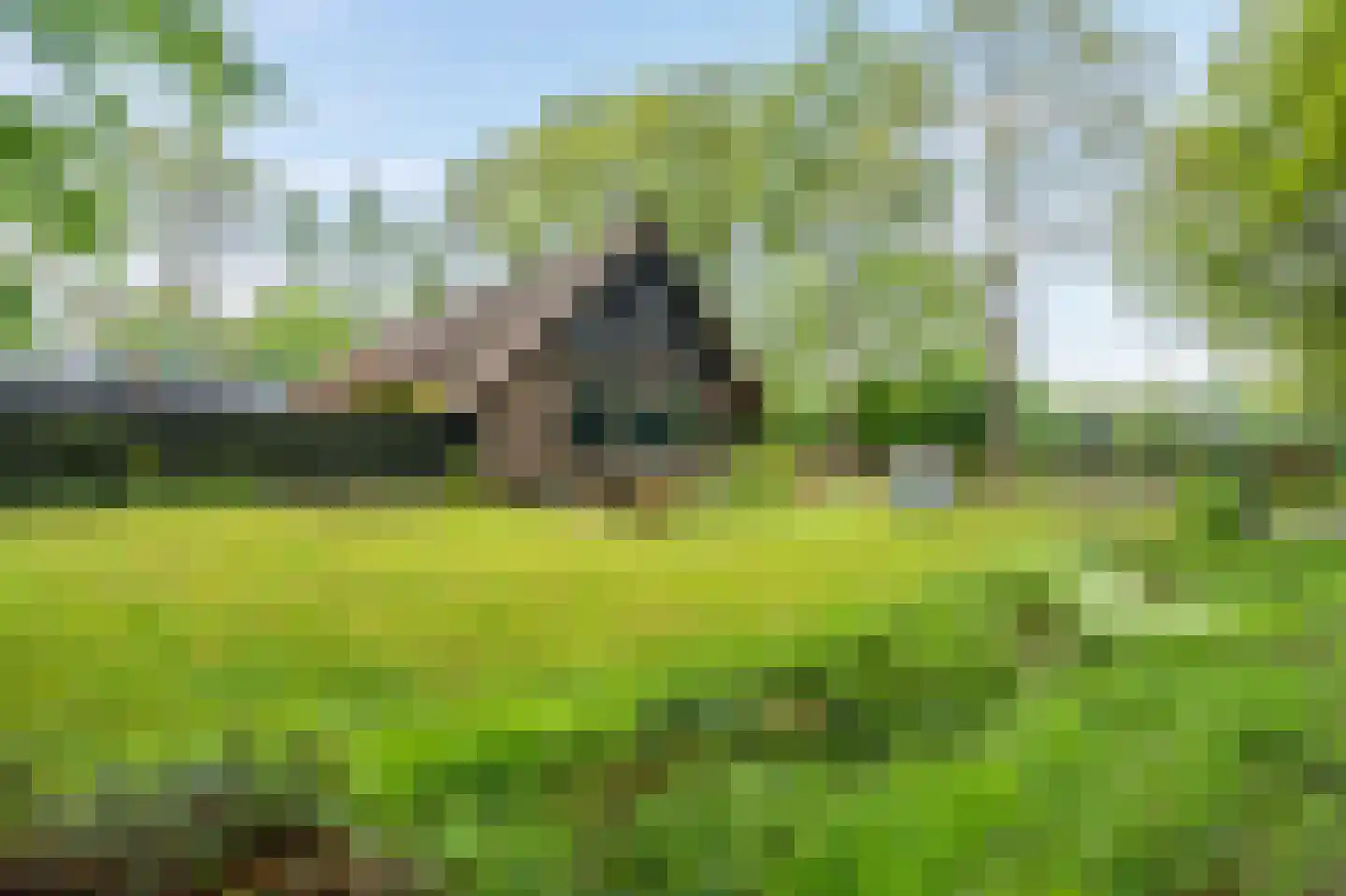 Paasloregel 114 Basse thumbnail 59