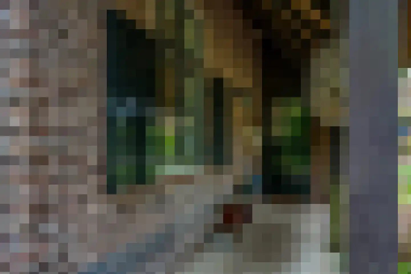 Paasloregel 114 Basse thumbnail 6