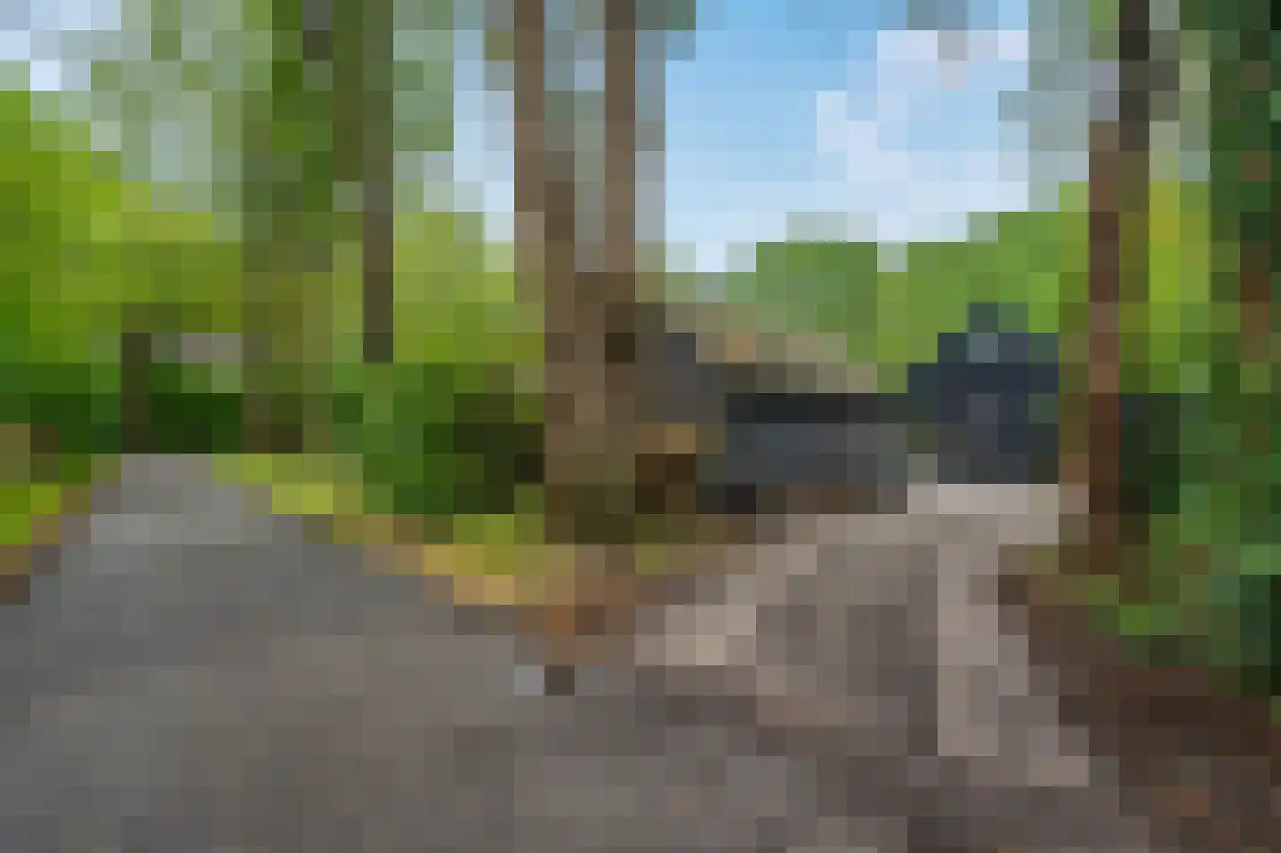 Paasloregel 114 Basse thumbnail 65