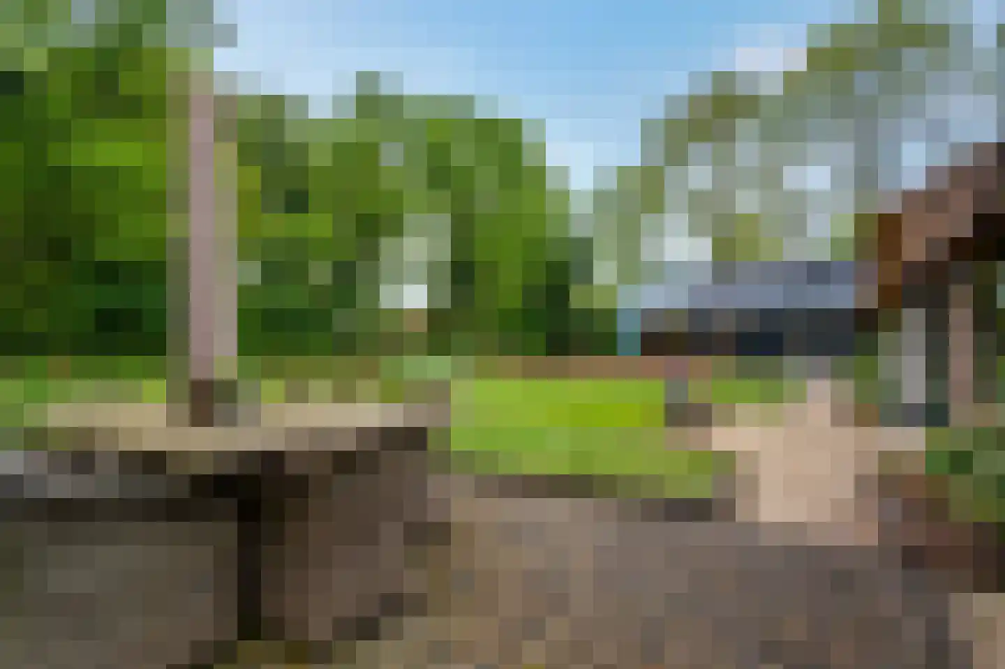 Paasloregel 114 Basse thumbnail 66