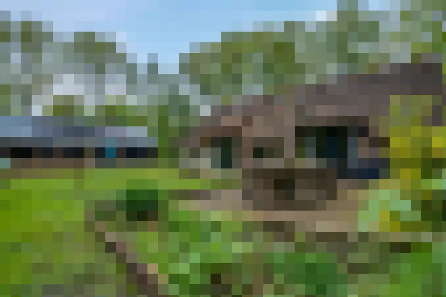 Paasloregel 114 Basse thumbnail 67