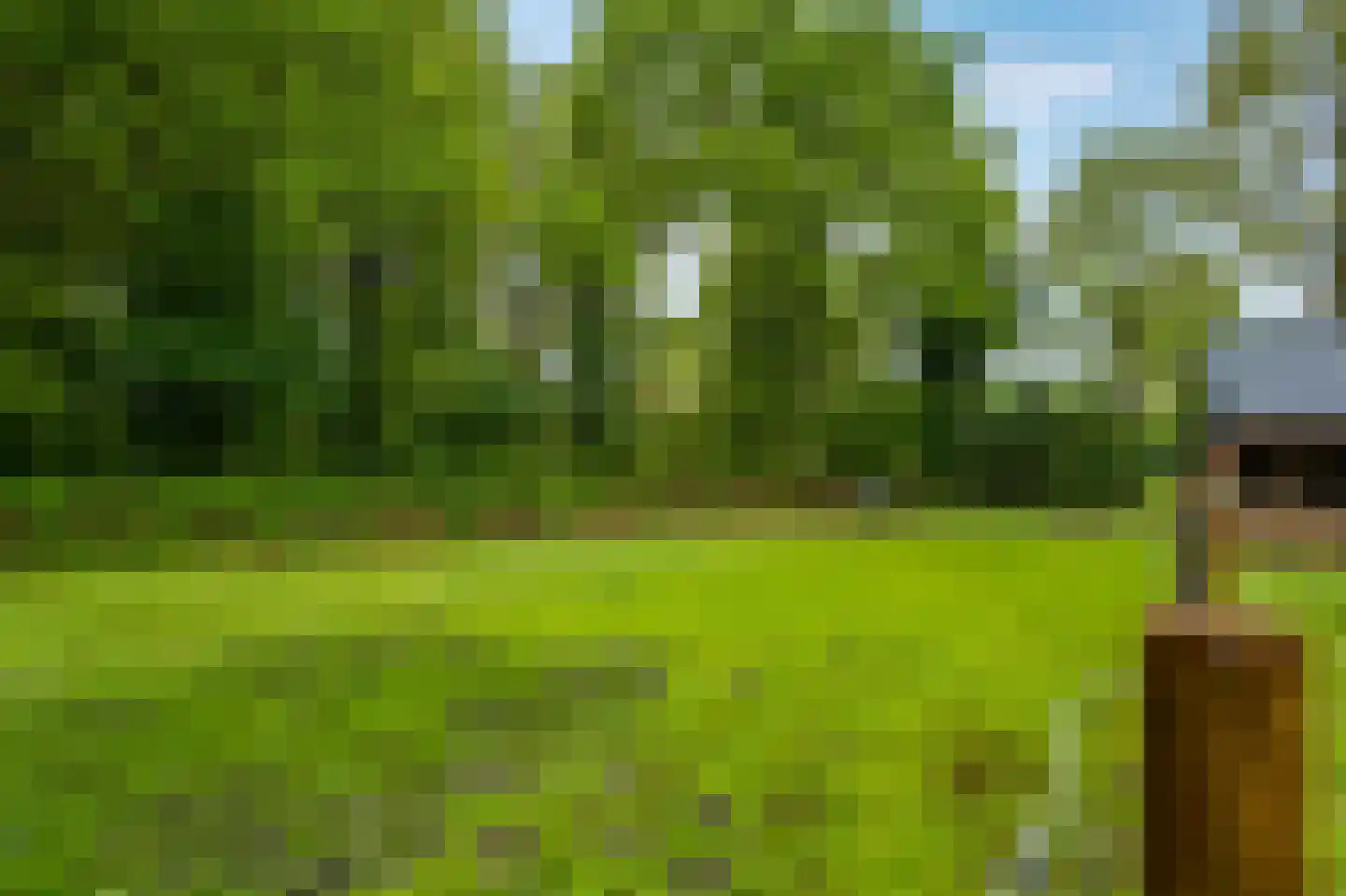 Paasloregel 114 Basse thumbnail 68