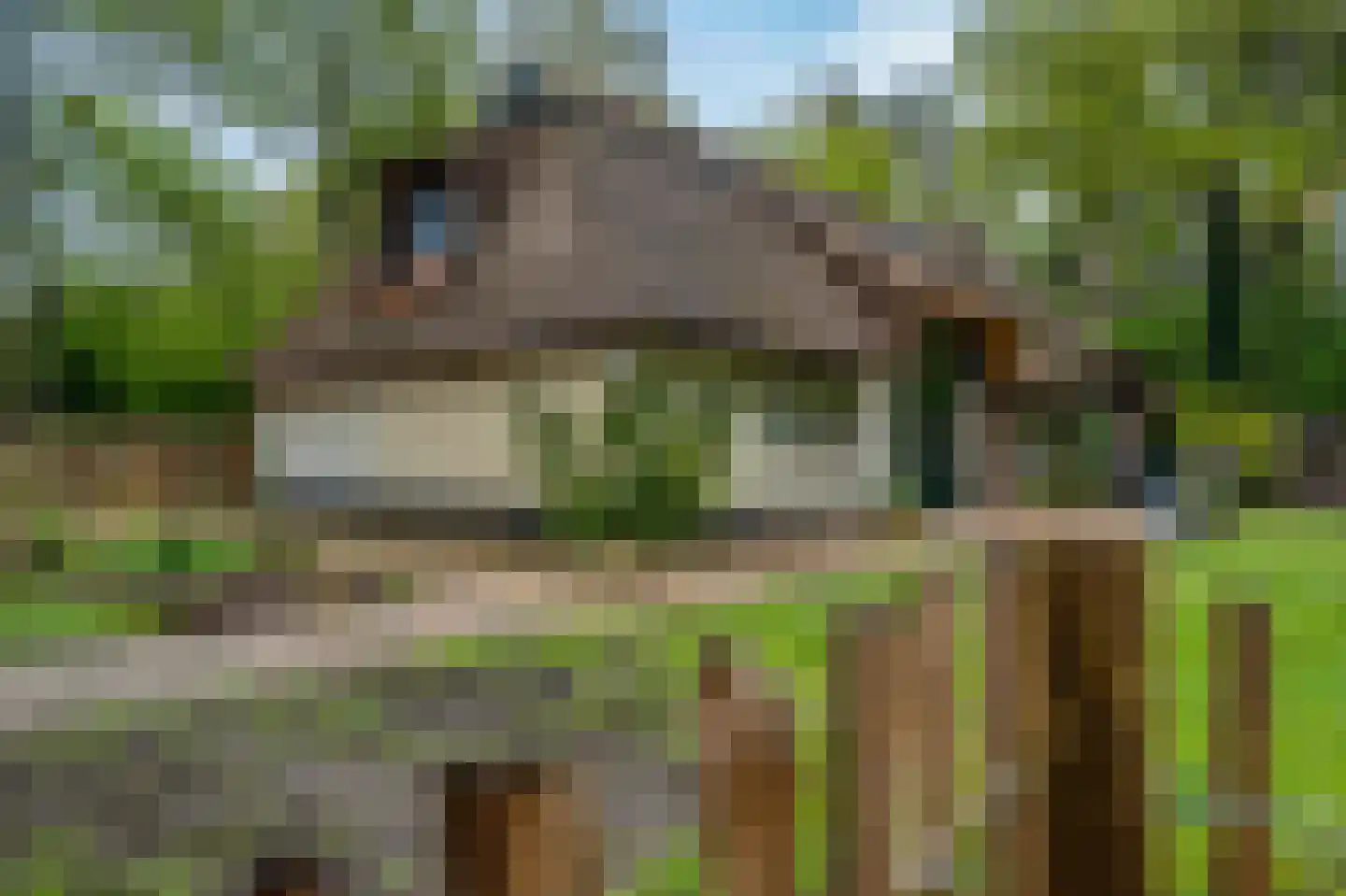 Paasloregel 114 Basse thumbnail 71