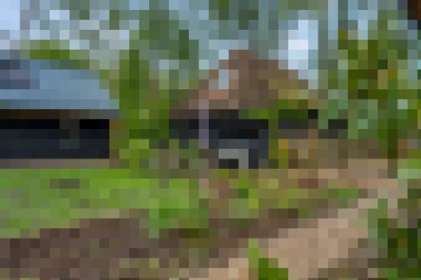 Paasloregel 114 Basse thumbnail 72