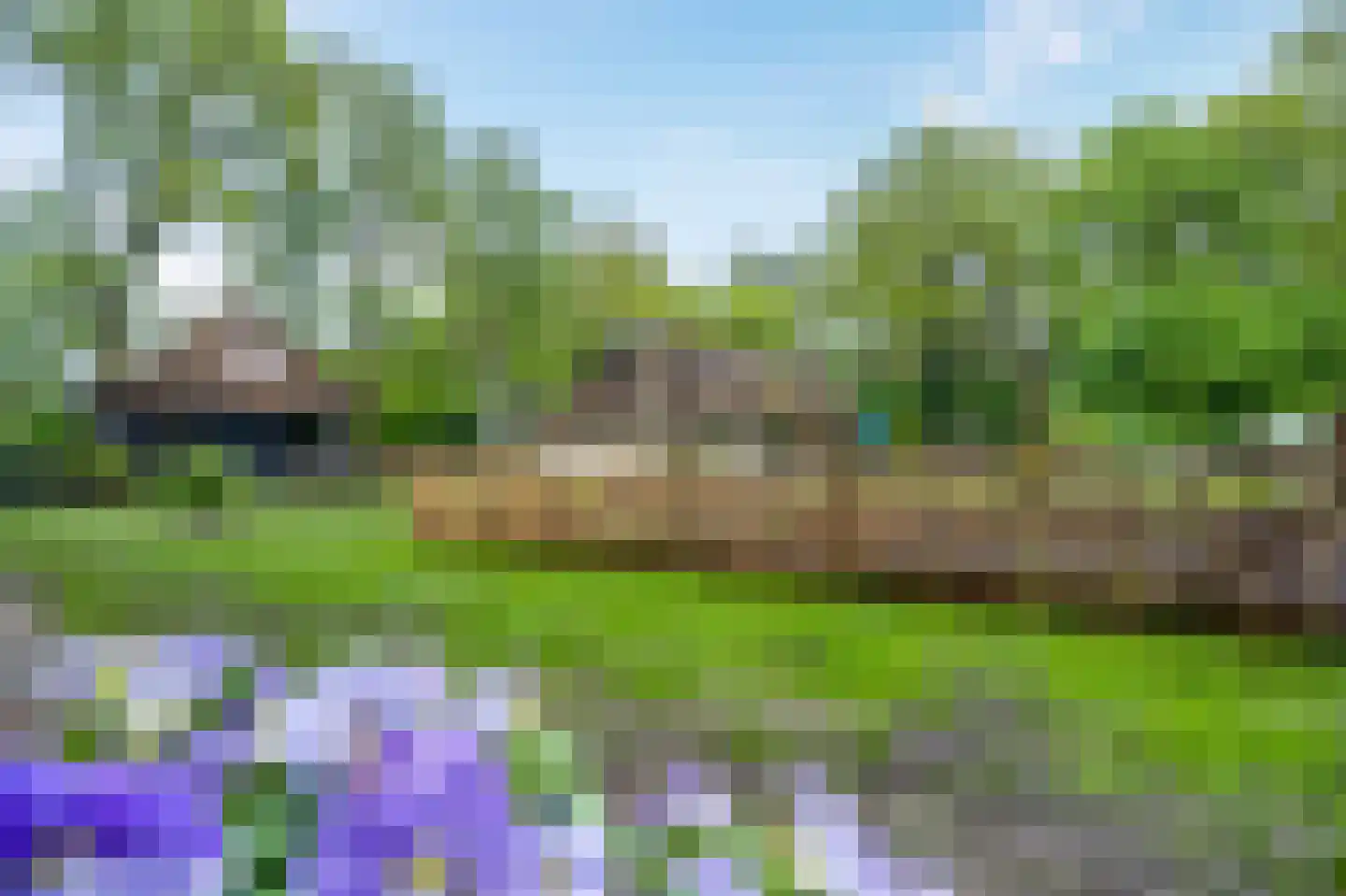 Paasloregel 114 Basse thumbnail 76