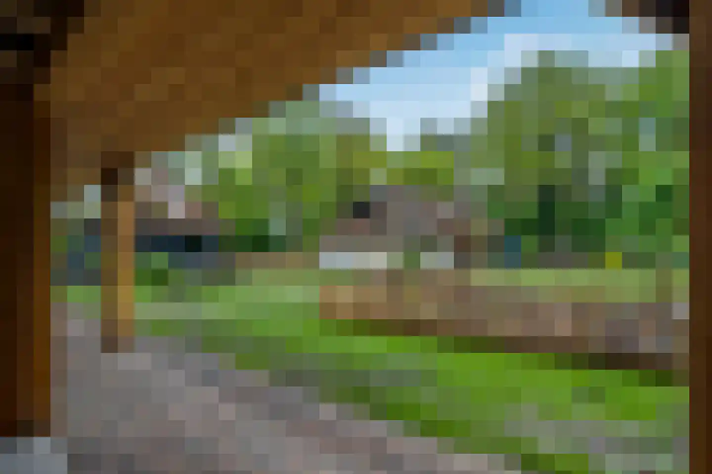 Paasloregel 114 Basse thumbnail 77