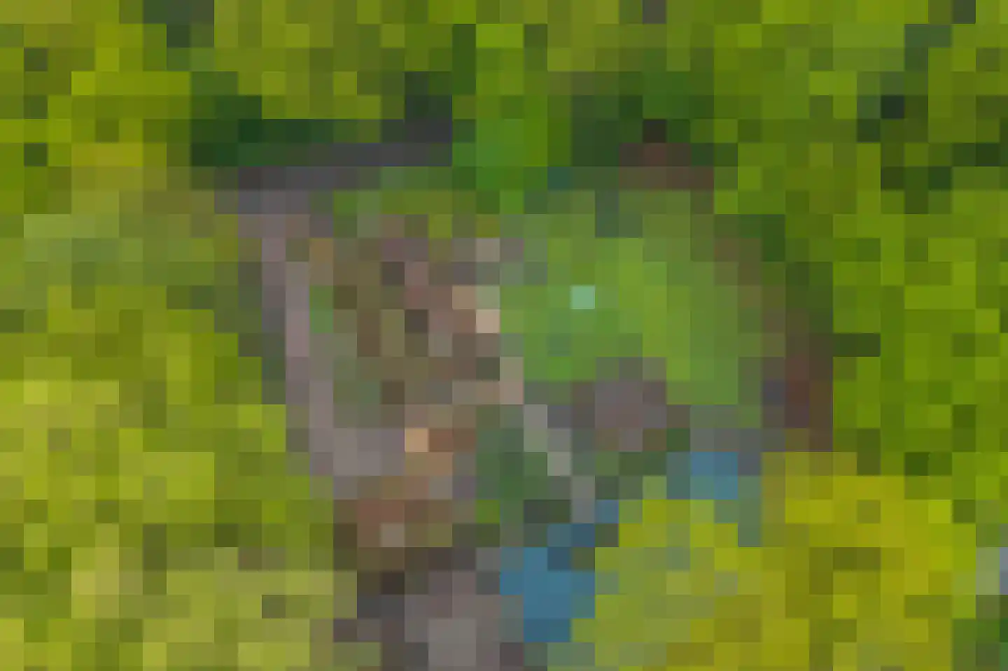 Paasloregel 114 Basse thumbnail 80