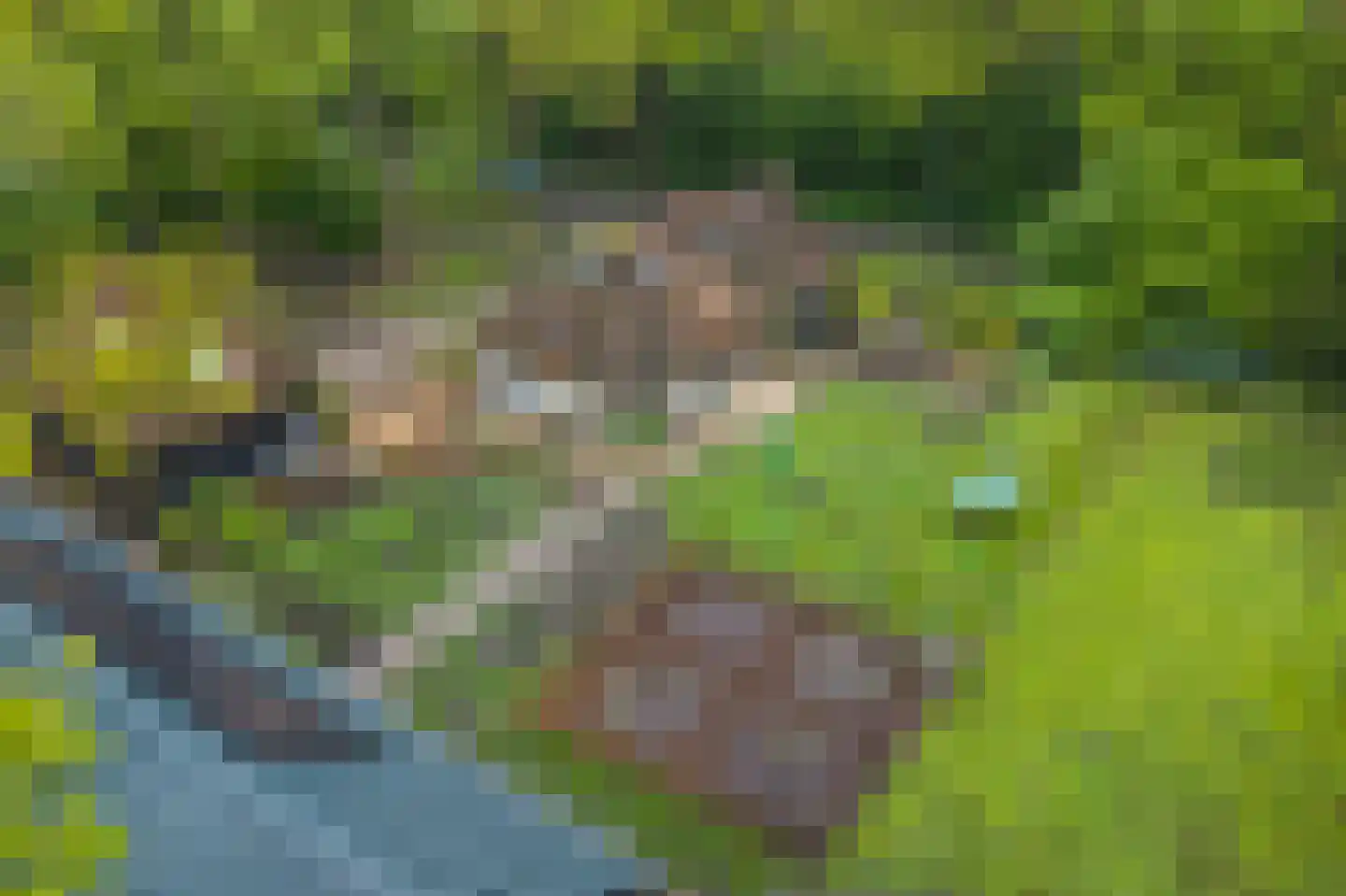 Paasloregel 114 Basse thumbnail 82