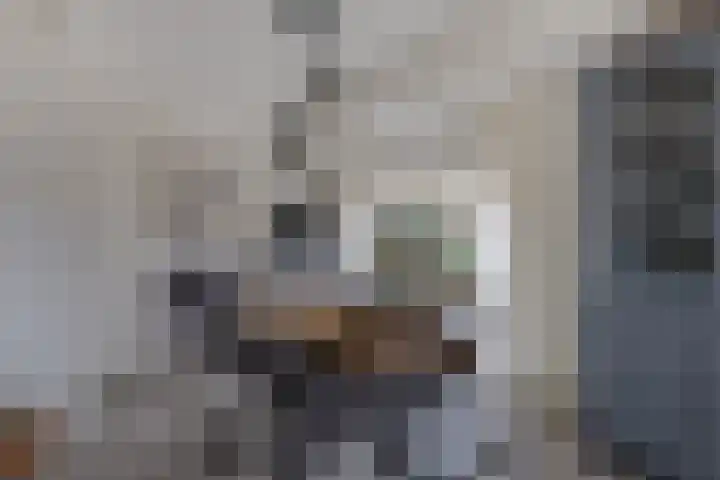 Paasloregel 92 Willemsoord thumbnail 11