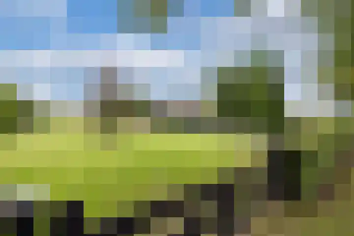 Paasloregel 92 Willemsoord thumbnail 29